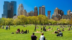 img-Discovering-The-X-Fun-Things-To-Do-In-Central-Park-NYC-780x435