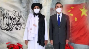 图片_20250620110031