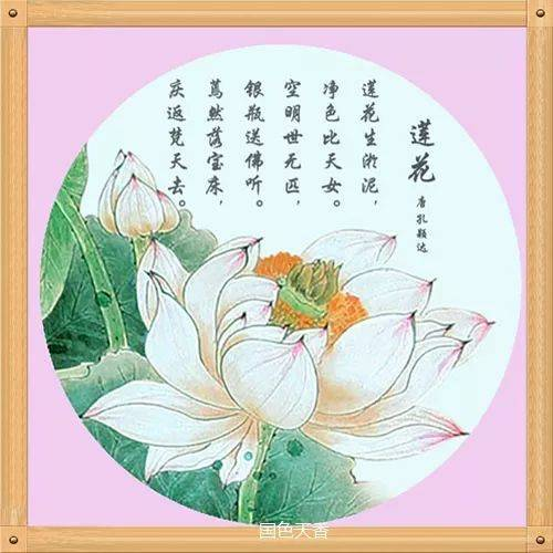 图片_20250624103224