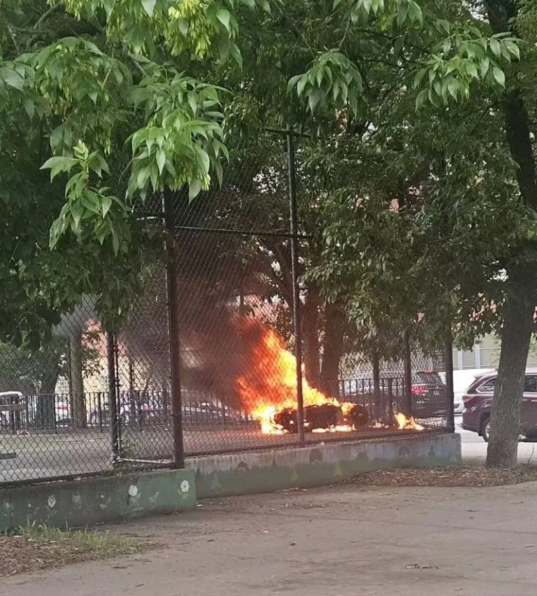 图片_20250628110220