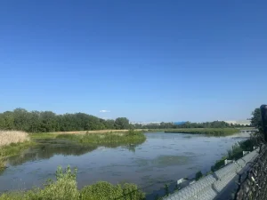 photo (1)