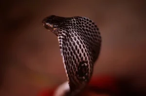 photo (5)