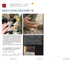 图片_20250706102412