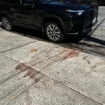 布碌崙8大道槍擊 華裔中槍命危 據研判不是隨機街頭搶劫